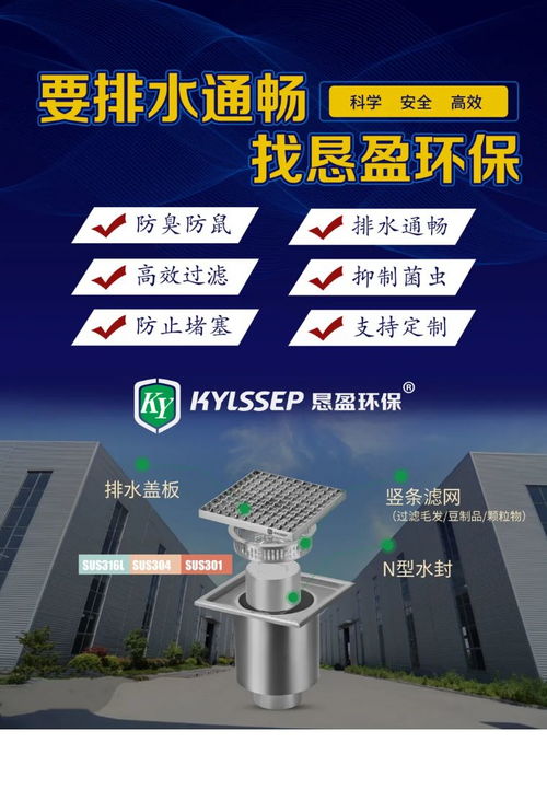 食品廠排水地漏選擇與車間布局設計 全面方案與網站設計建議